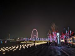-南京眼步行桥