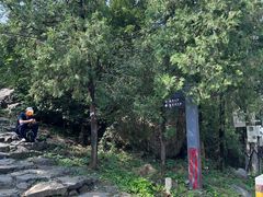 -阳台山自然风景区