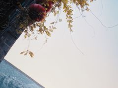 -老门东历史文化街区
