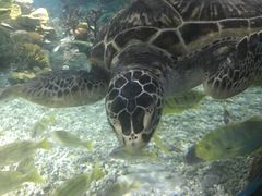 -福州罗源湾海洋世界旅游区