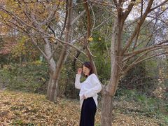 -千年银杏谷文化旅游区