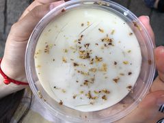 桂香豆花-品腐记·豆腐王朝(老门东总店)