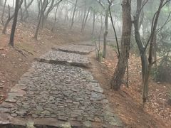 -雨花胜境