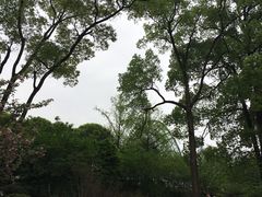 -南山植物园