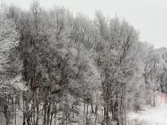 -多乐美地滑雪场
