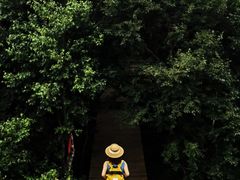 -白草畔自然风景区