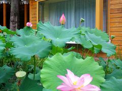 -仙居谷风景区