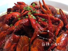 -霸王虾·麻辣小龙虾(清水河公园店)