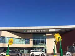 -杉杉奥特莱斯广场(哈尔滨店)