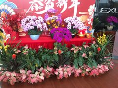 -广州长悦雷克萨斯