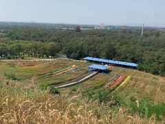 -南戴河国际娱乐中心