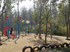 -合肥滨湖国家森林公园