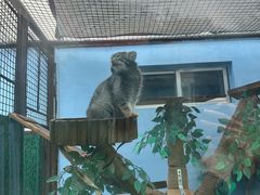 -青藏高原野生动物园