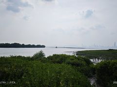 -福田红树林生态公园