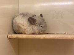 -龙猫仔乐园(惠福东路店)