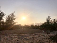 -东郊椰林