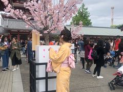 -东京浅草和服体验江户和装工房雅(浅草本店)