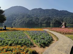 -广州市石门国家森林公园
