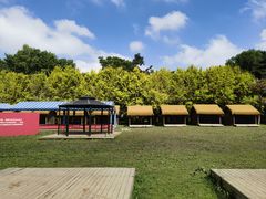 -长春市南湖公园