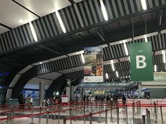 -西沃古尔·拉姆古兰爵士国际机场