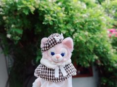 -小时光咖啡馆(北锣鼓巷店)