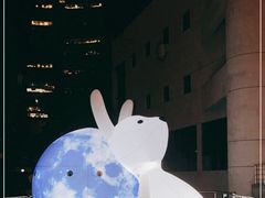 -朝阳区图书馆(小庄店)