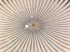 -疆里疆外·和田烤肉·清真