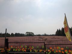 -军山湖云水间水上餐厅(进贤店)