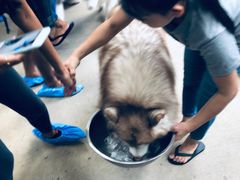 -TrueLove @ Neverland (Husky Cafe)