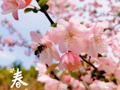 -中央公园(苏州工业园区)