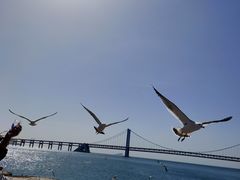 -星海广场