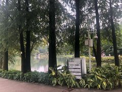 -晓港公园