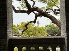 -江心屿景区