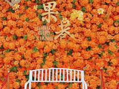 -青果巷历史文化街区