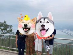-千岛湖天屿景区