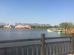 -上海长兴岛郊野公园