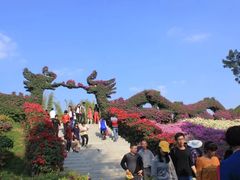 -东南花都花博园