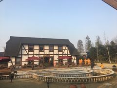 -金山农民画村-枫泾波兰倒置屋