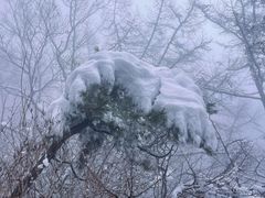-崂山巨峰游览区