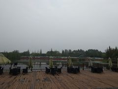 -白鹭湾湿地公园