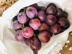 -马陆小张葡萄园农家乐