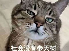 -瑞幸咖啡(南山百丽大厦店)