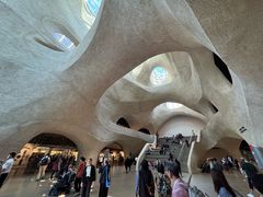 -美国自然历史博物馆