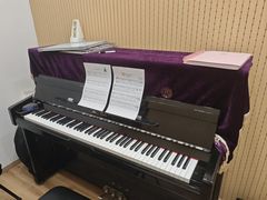 -珠江钢琴艺术中心(文一路店)