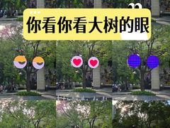 -瑞虹新天地月亮湾