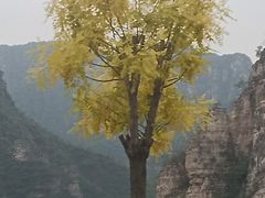 -孤山寨风景区