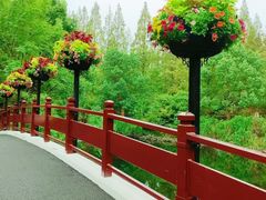-东平国家森林公园