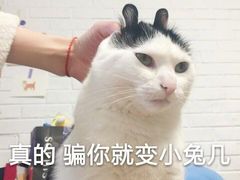 -胖哥俩肉蟹煲(爱琴海购物公园店)