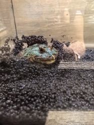 -Zoolung Zoolung动物主题公园(海信广场店)