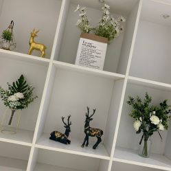 -MIVI半永久纹眉绣眉